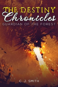 Enlarge image Cover: Destiny Chronicles - Austin Macauley Publishers LLC
