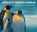 Cover: Life in a Frozen World - Peachtree Publishers