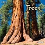 Cover: Trees 2021 - Tushita PaperArt GmbH