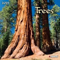 Enlarge image Cover: Trees 2021 - Tushita PaperArt GmbH