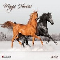 Abbildung von: Magic Horses 2021 - Tushita PaperArt