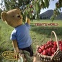 Cover: Teddy's World 2021 - Tushita PaperArt GmbH