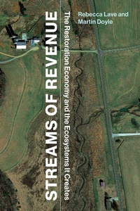 Enlarge image Cover: Streams of Revenue - MIT Press