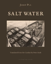Enlarge image Cover: Salt Water - New York Review Books