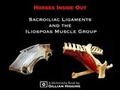 Cover: The Sacroiliac Ligaments and the Iliopsoas Muscle Group - Gillian Higgins