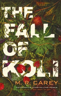 Enlarge image Cover: The Fall of Koli - Orbit