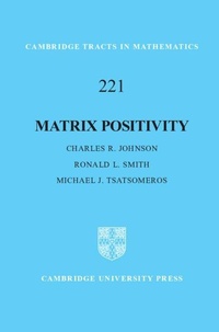 Enlarge image Cover: Matrix Positivity - Cambridge University Press