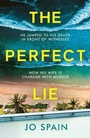Cover: The Perfect Lie - Quercus Publishing