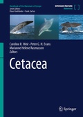 Bild: Cetacea - Springer