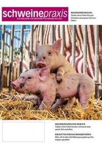 Abbildung von: Schweinepraxis - DLG AgroFood Medien