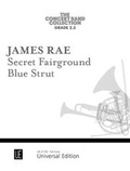 Cover: Secret Fairground/Blue Strut: 2 - Universal Edition