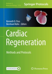 Abbildung von: Cardiac Regeneration - Springer