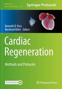 Abbildung von: Cardiac Regeneration - Springer
