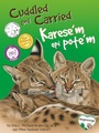 Bild: Cuddled and Carried / Karese'm Epi Pote'm (English/Haitian Creole) - Platypus Media