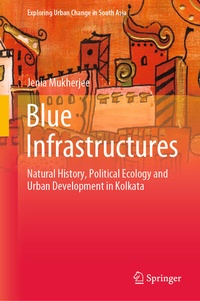 Enlarge image Cover: Blue Infrastructures - Springer