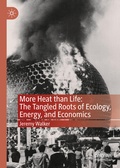 Cover: More Heat than Life: The Tangled Roots of Ecology, Energy, and Economics - Palgrave Macmillan