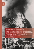 Cover: More Heat than Life: The Tangled Roots of Ecology, Energy, and Economics - Springer