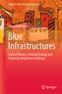 Cover: Blue Infrastructures - Springer