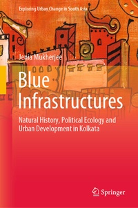 Enlarge image Cover: Blue Infrastructures - Springer