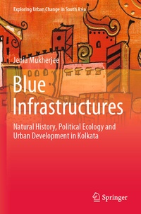 Enlarge image Cover: Blue Infrastructures - Springer