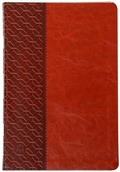 Cover: The Passion Translation New Testament with Psalms Proverbs and Song of Songs (2020 Edn) Large Print Brown Faux Leather - BroadStreet Publishing
