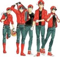 Cover: Cells at Work! CODE BLACK 6 - Kodansha Comics