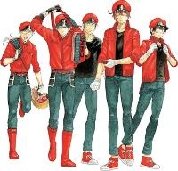 Enlarge image Cover: Cells at Work! CODE BLACK 6 - Kodansha Comics