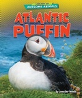 Cover: Atlantic Puffin - Bearport Books