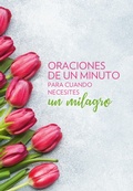 Cover: Oraciones de un minuto para cuando necesitas un milagro / One Minute Prayers When You Need a Miracle - Origen