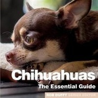 Enlarge image Cover: Chichuahuas - BX Plans Ltd
