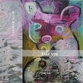 Cover: Like You - Fence Books