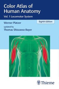 Abbildung von: Color Atlas of Human Anatomy - Thieme