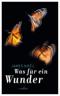 Enlarge image Cover: Was für ein Wunder - litradukt Literatureditionen