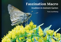 Abbildung von: Faszination Macro - Artisto Verlag