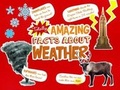 Cover: Totally Amazing Facts About Weather - Raintree