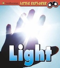Cover: Light - Raintree
