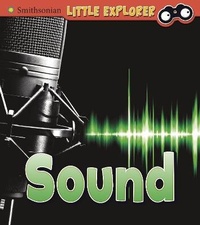 Enlarge image Cover: Sound - Raintree