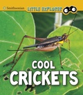 Cover: Cool Crickets - Raintree