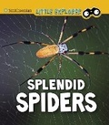 Cover: Splendid Spiders - Raintree