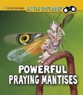 Cover: Powerful Praying Mantises - Raintree