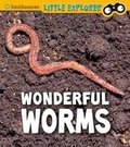 Cover: Wonderful Worms - Raintree