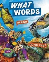 Enlarge image Cover: What Words - Raintree