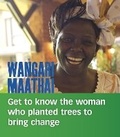 Cover: Wangari Maathai - Raintree