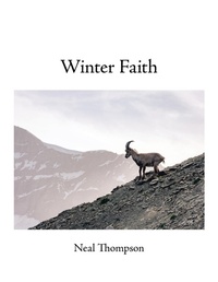 Enlarge image Cover: Winter Faith - AUTHORHOUSE