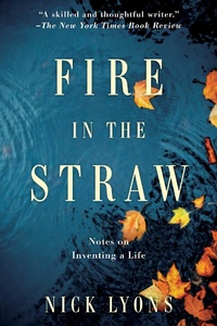 Enlarge image Cover: Fire in the Straw - Arcade Publishing