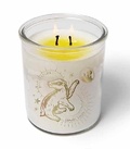 Cover: Harry Potter: Magical Colour-Changing Hufflepuff Candle (10 oz) - Insight Luminaries