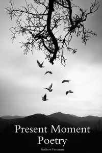 Enlarge image Cover: Present Moment Poetry - Lulu.com