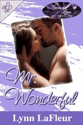 Cover: Mr. Wonderful - Lynn LaFleur
