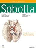 Cover: Sobotta Atlas of Anatomy, Vol. 3, 17th ed., English/Latin - Elsevier