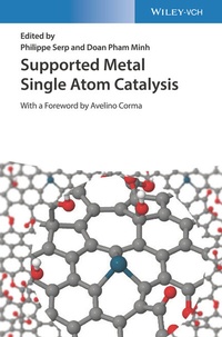 Abbildung von: Supported Metal Single Atom Catalysis - Wiley-VCH